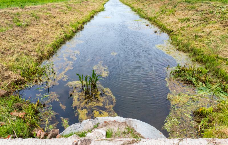 Drain Clearing Service detail