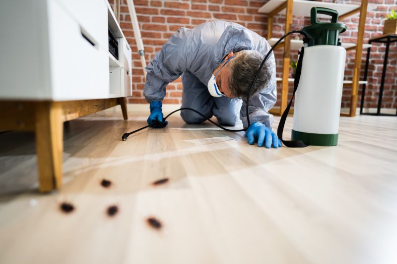 Insect Control Service