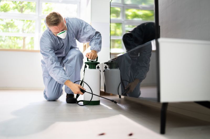Insect Extermination Service