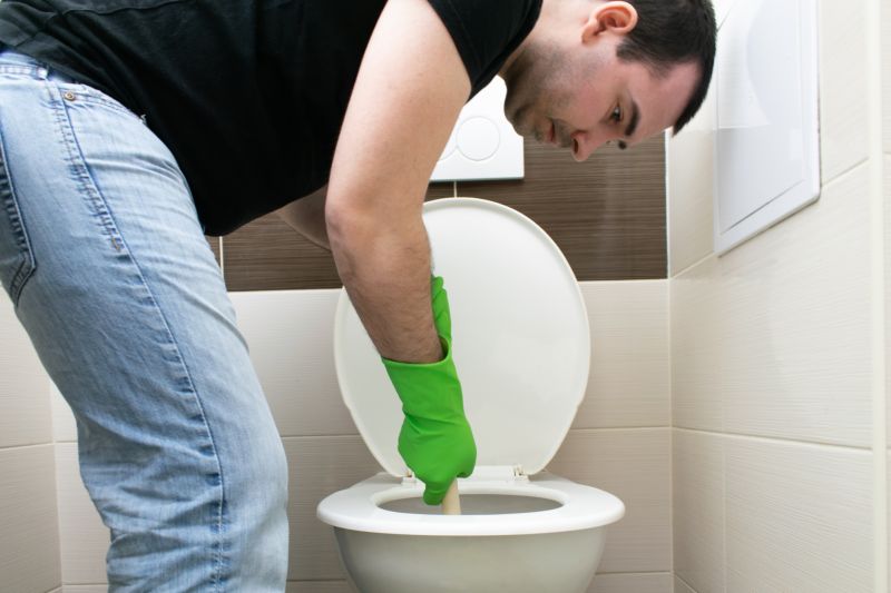 Toilet Plunging