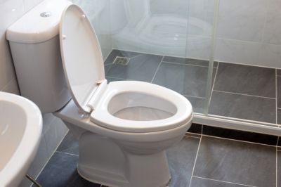 Toilet Replacement