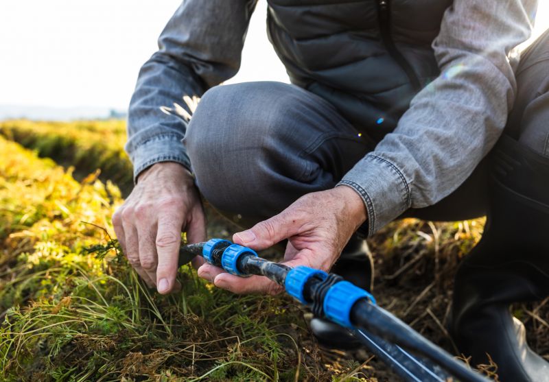 Water Line Repair